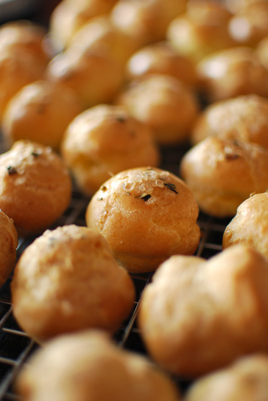choux-13 choux-13